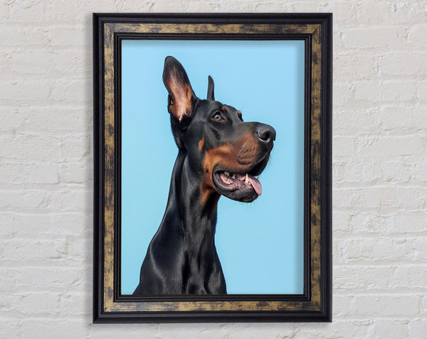 Doberman Blues