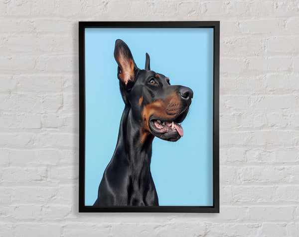 Doberman Blues