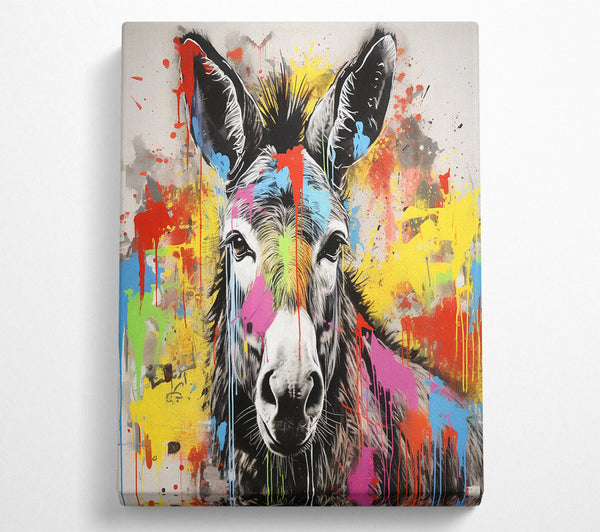 Donkey Paint Splash