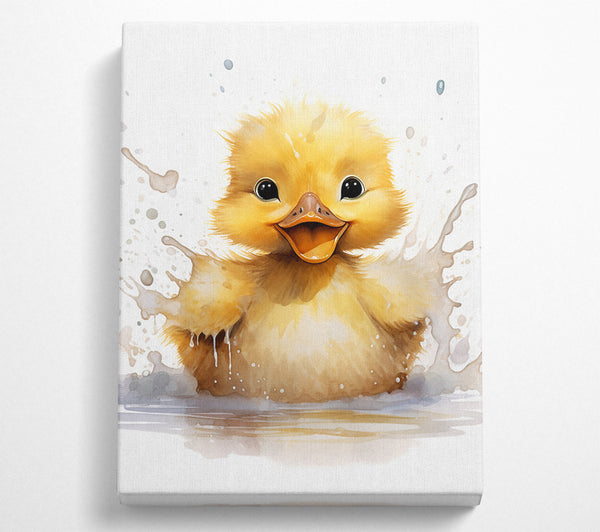 Duckling Splash