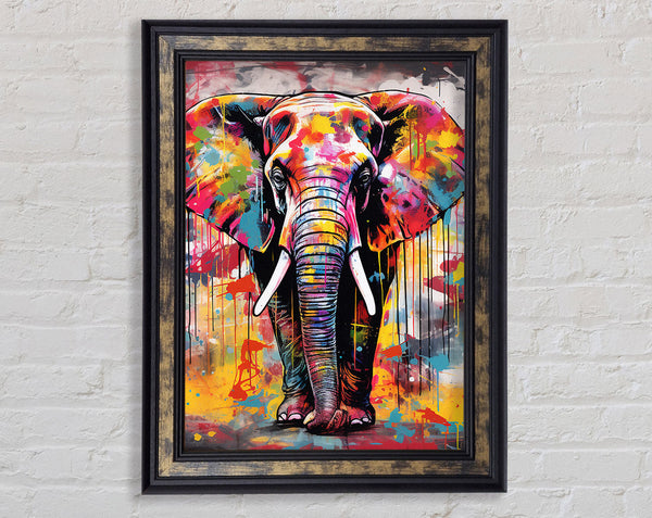 Elephant Paint Splash