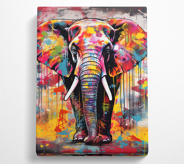 Elephant Paint Splash