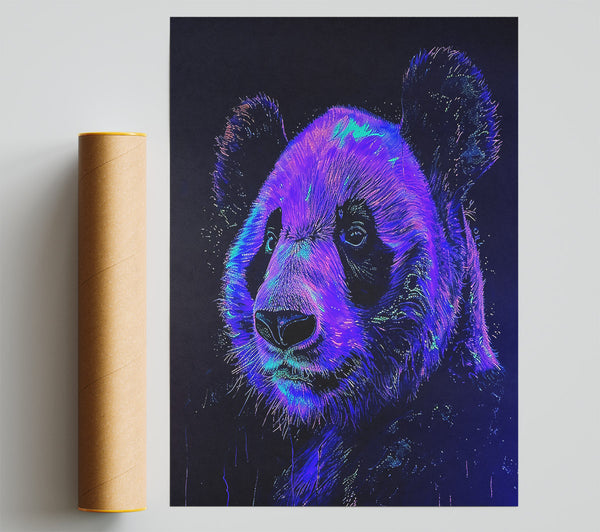 Purple Panda Glow