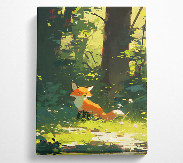 Orange Fox In Woods