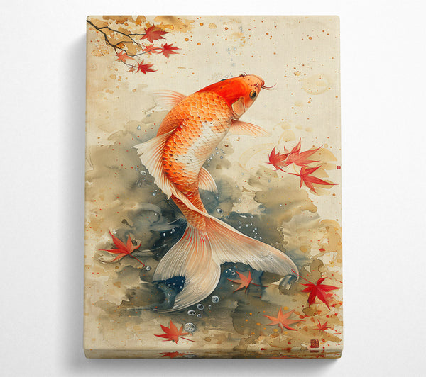 Orange Koi In Fall