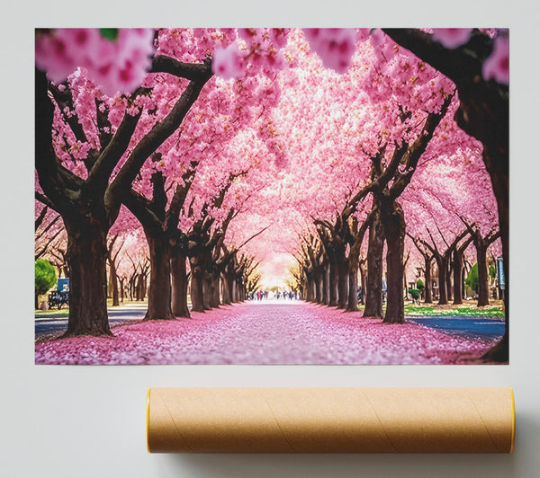 Pink Blossom Tunnel