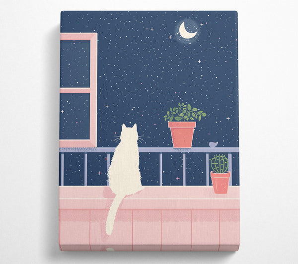 Pink Night Sky Cat