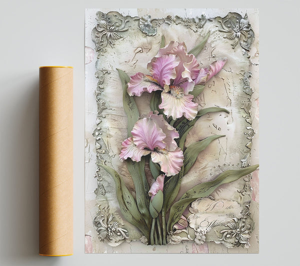 Powdered Pink Irises