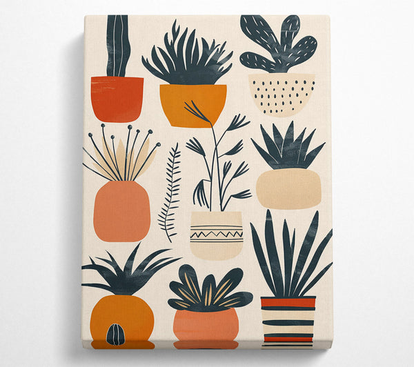 Terracotta Plant Dreams