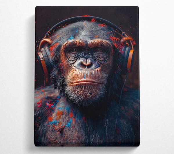 Orange Splashed Chimp