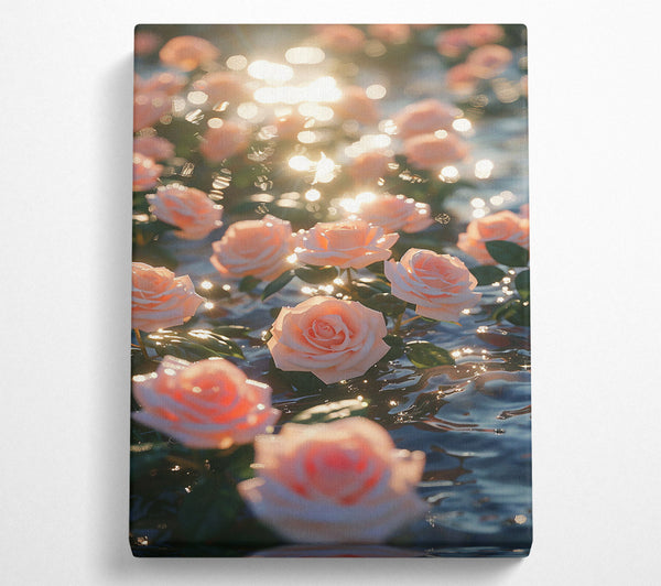 Peach Sunlit Roses