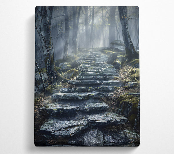 Gray Foggy Path