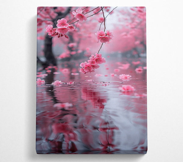 Pink Blossom Reflection