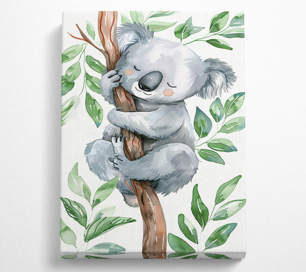 Grey Koala Dreaming