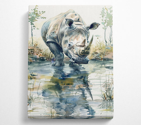 Blue Rhino Reflection