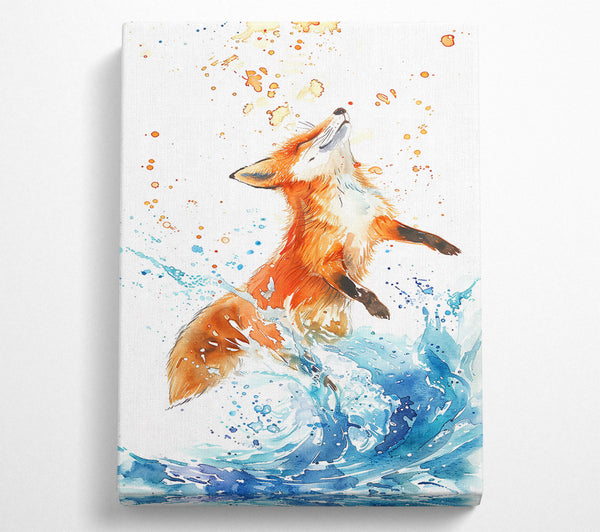 Orange Fox Splashing Blue