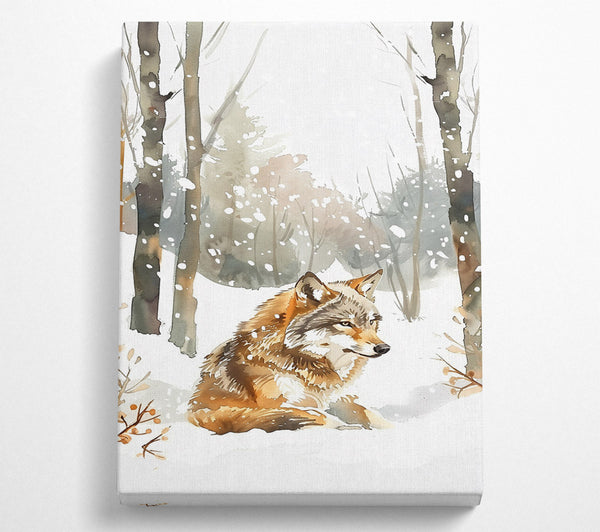 Brown Wolf In Winter