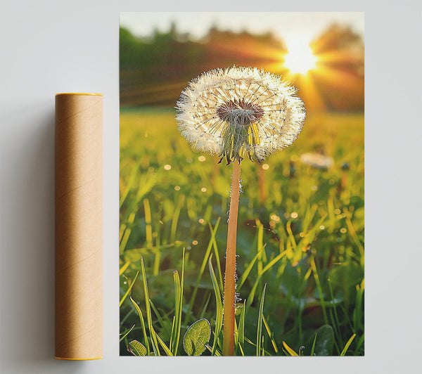 Golden Dandelion Wish