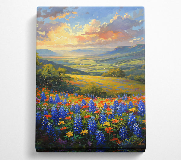 Bluebonnet Valley Sunset