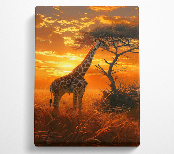 Golden Giraffe Sunset