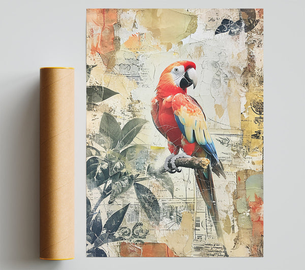 Red Parrot Collage