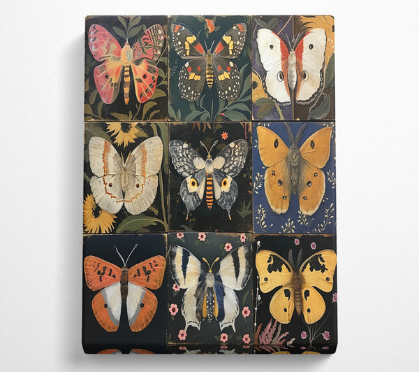 Grid Of Butterflies