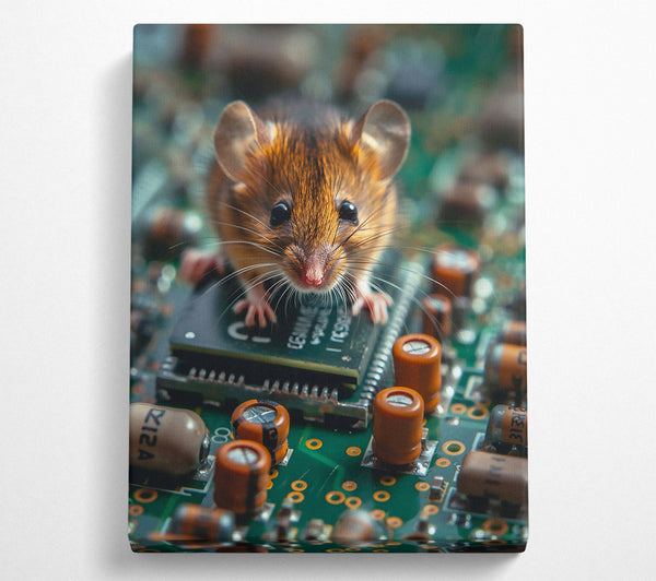 Brown Mouse On Circuitry