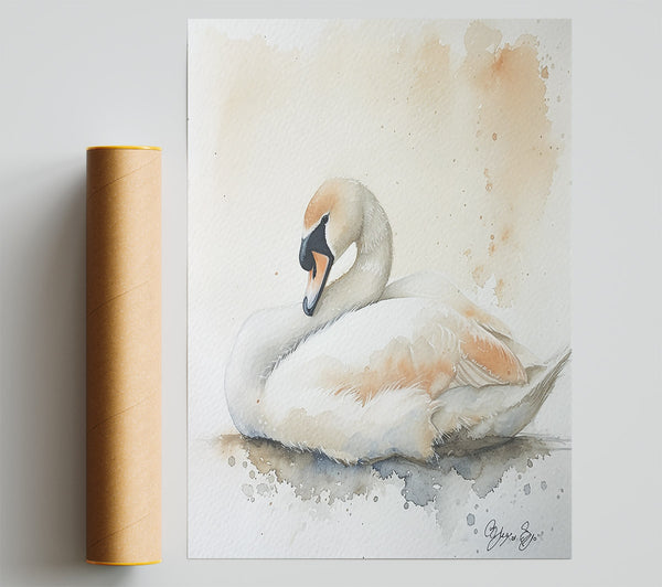 Peachy Swan Slumber