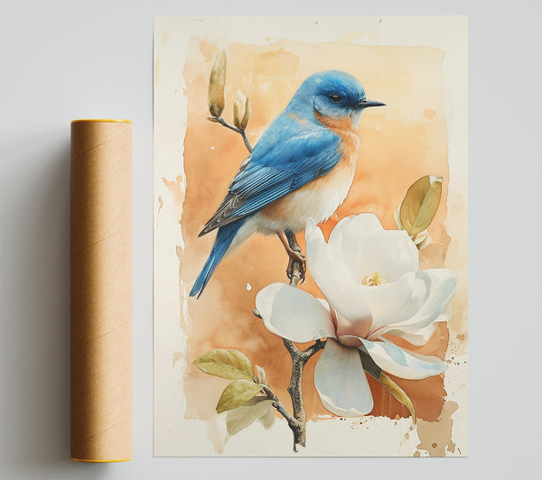 Orange Bloom Bluebird