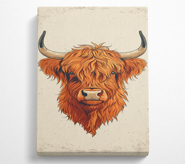 Highland Cow Sketch