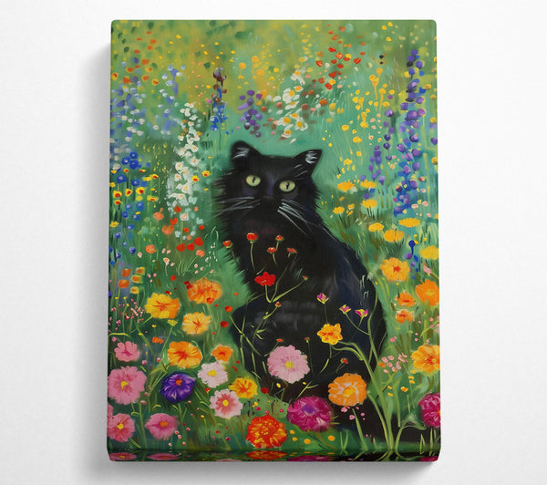 Black Cat In Green Fields