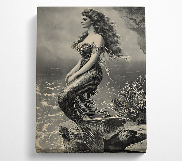 Silver-Scaled Siren