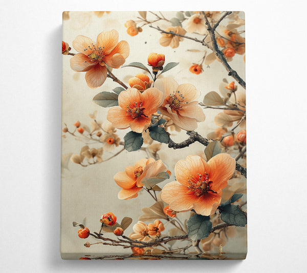 Peach Blossom Bloom