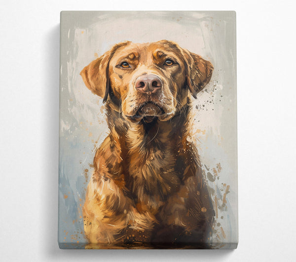 Golden Fur Portrait