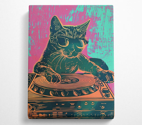 Orange Cat Dj