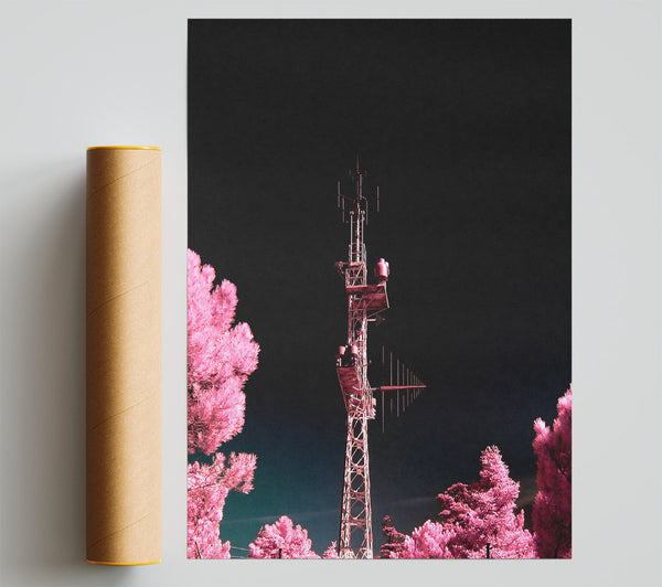 Pink Antenna Forest