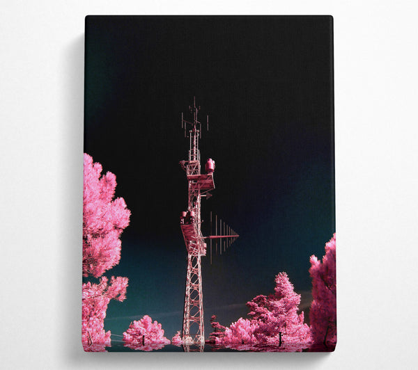 Pink Antenna Forest