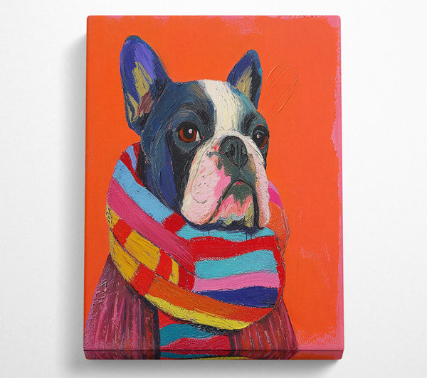 Orange Frenchie Scarf