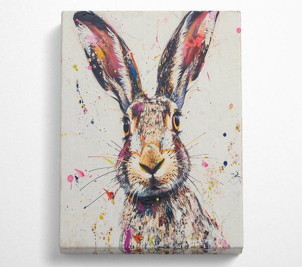 Pink Splashed Hare