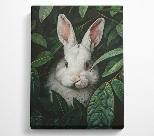 Emerald White Hare