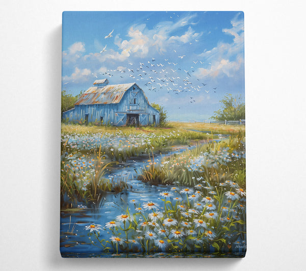 Blue Barn And Daisies