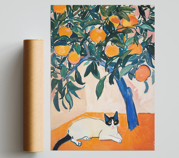 Orange Tree And Cat