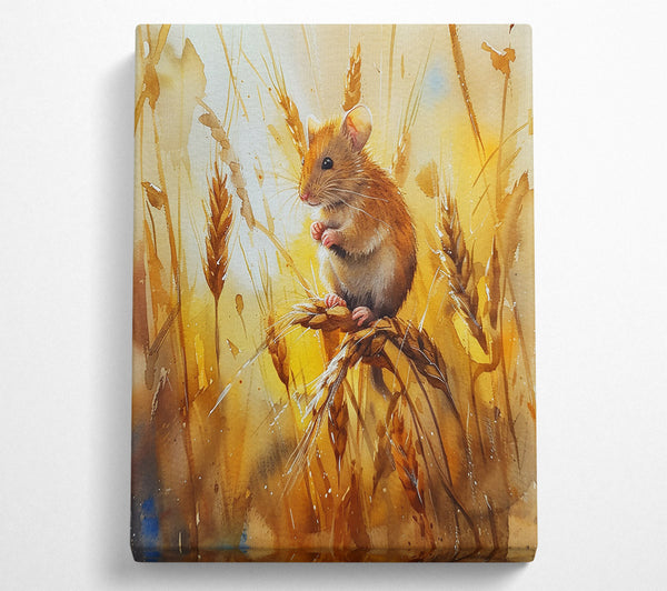 Golden Harvest Mouse