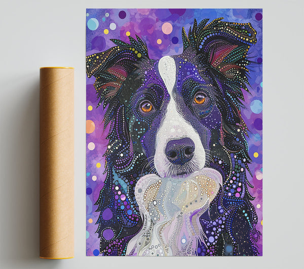 Purple Spotted Collie