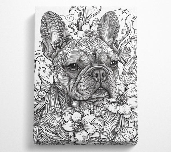 Black And White Frenchie Bloom