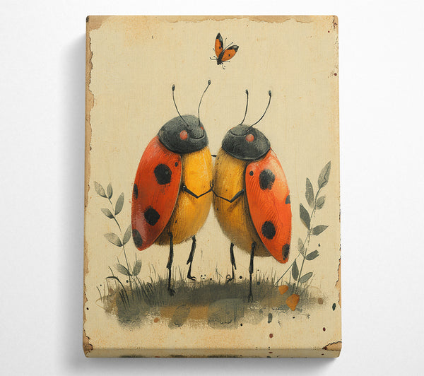 Ladybird Love