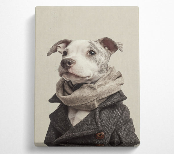 Grey Dog In A Scarf