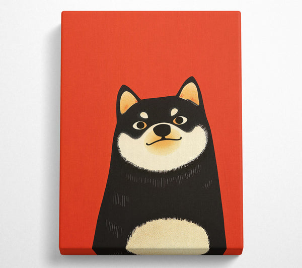 Red And Black Shiba Inu