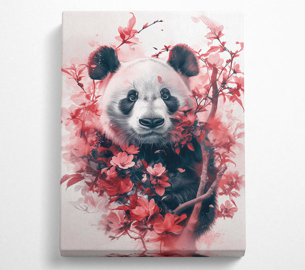 Crimson Panda Bloom