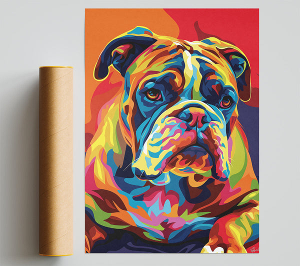 Orange Bulldog Portrait